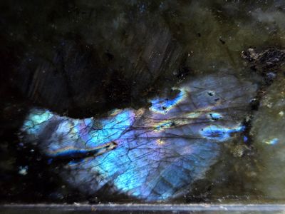 20251102_213355 MLR2023.jpg