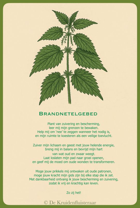 Gebed tot brandnetel