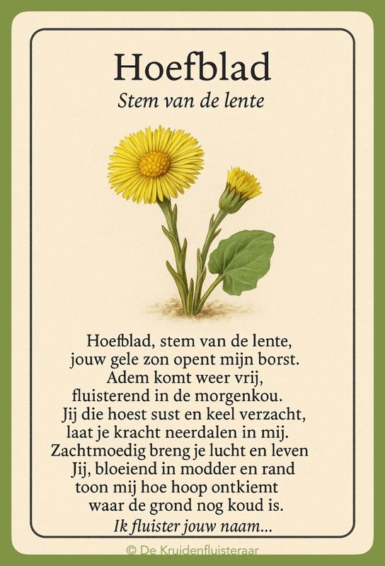 Gebed tot klein hoefblad
