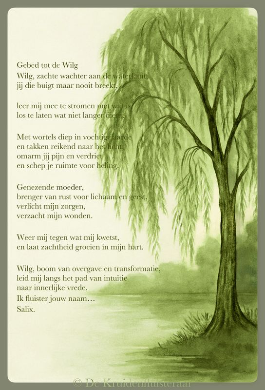 Gebed bij de Wilg