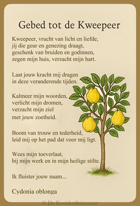 De kruidenfluisteraar 