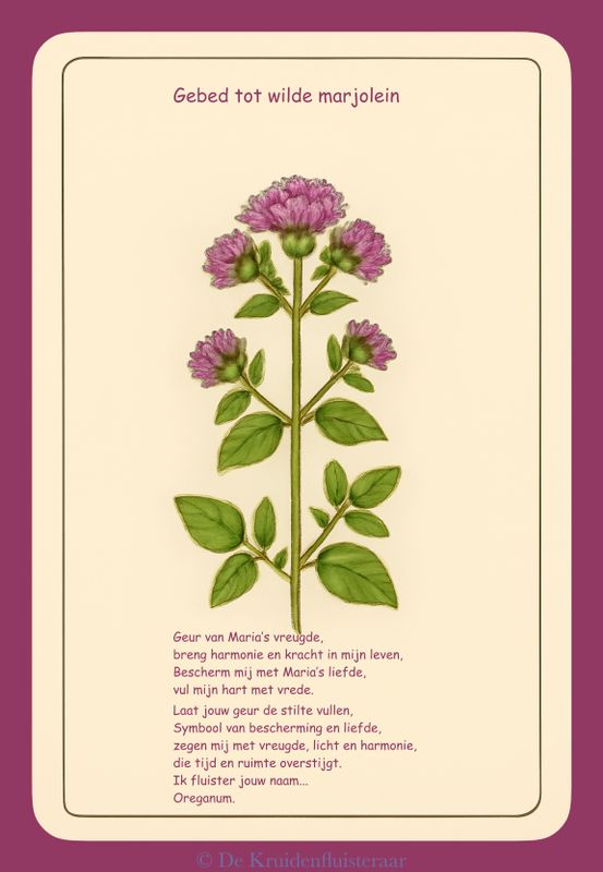 Gebed tot de wilde marjolein