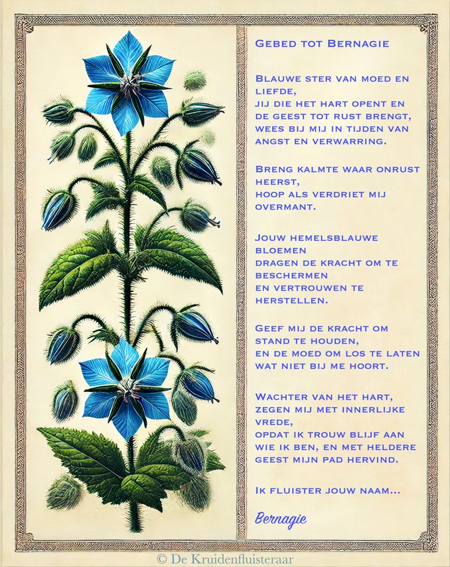 De kruidenfluisteraar 