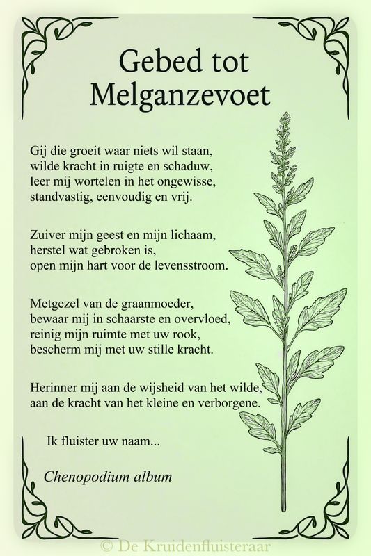 Gebed tot de melganzevoet