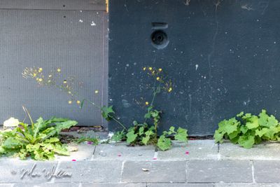 g13/96/5271596/3/174591325.6d36d0af.JPEG