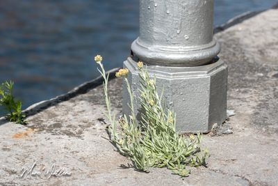 g13/96/5271596/3/174599508.69d2f40c.JPEG
