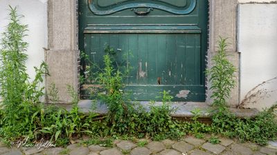 huisdeur Engelse straat-100611.jpg