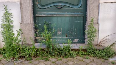 Engelsestraat