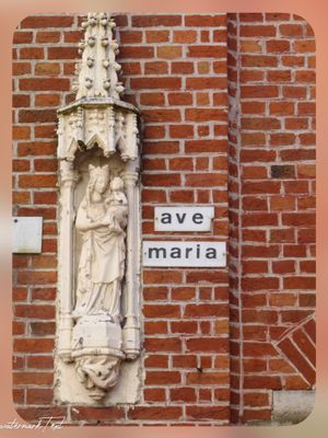 Hoogste van Brugge naast nr 4.jpg