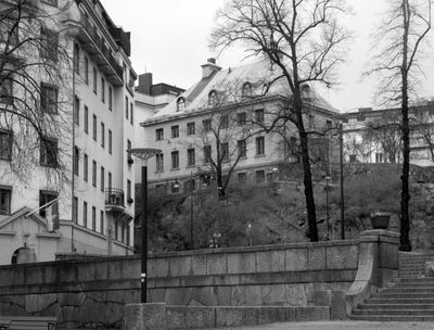 g13/96/629796/3/173309698.c907d873.JPEG