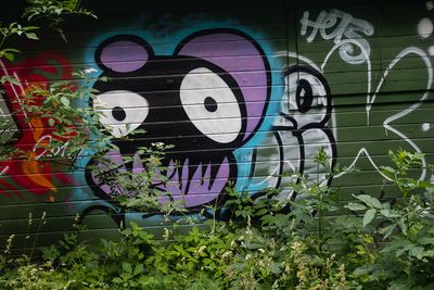 g13/96/629796/3/174658748.6a9b7f23.JPEG