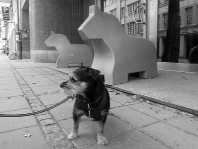 g13/96/629796/3/175256436.a87342b1.JPEG