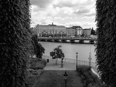 Black & White VII E