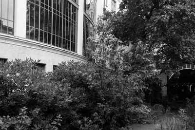 g13/96/629796/3/175701242.647fe23a.JPEG