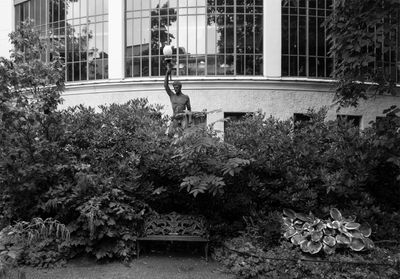 Black & White VII E