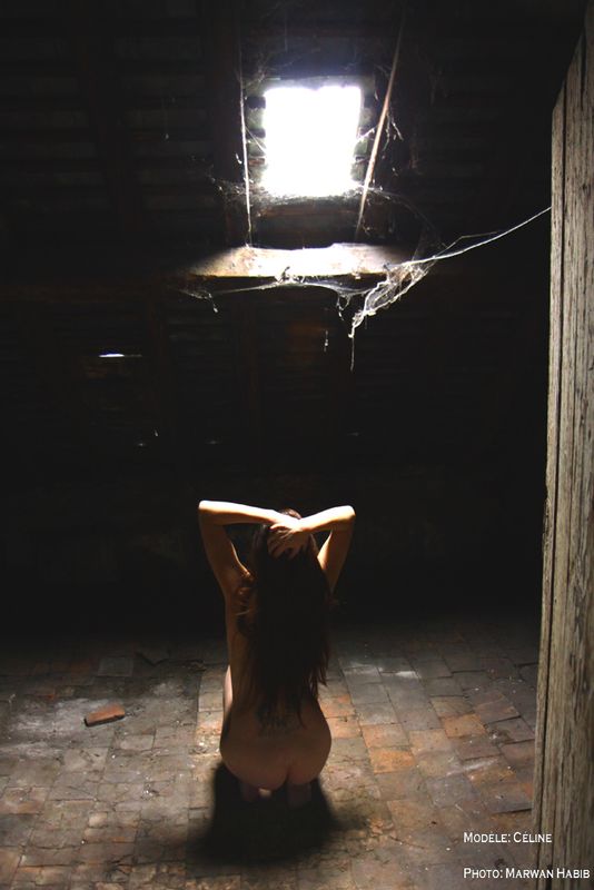 Cline - I cant believe it! / Je ny crois pas!