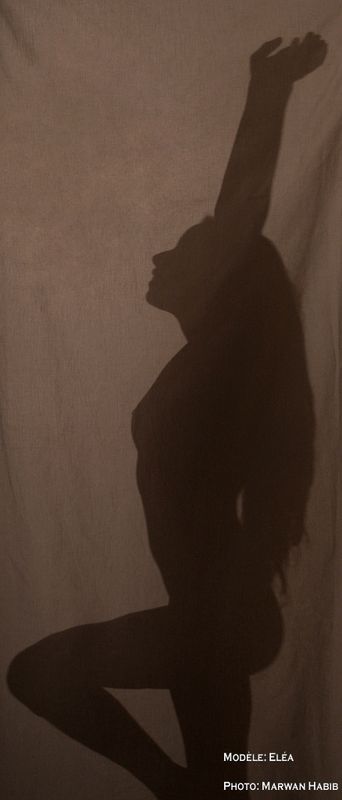 la - Shadow Play / Ombre Chinoise