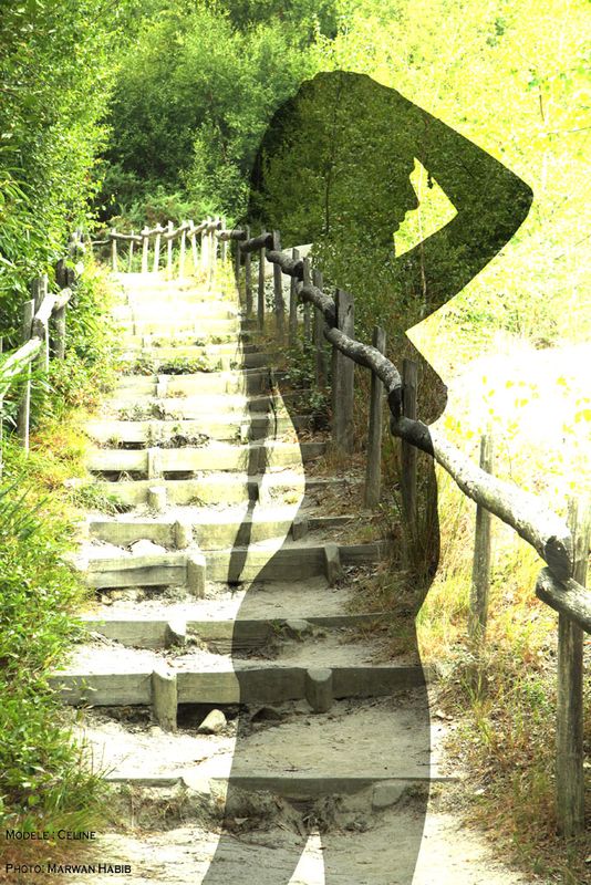 Cline - ghostly silhouette / silhouette fantomatique