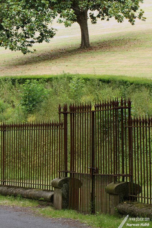 27-06-2010 : The gate to the tree / La barrire vers larbre