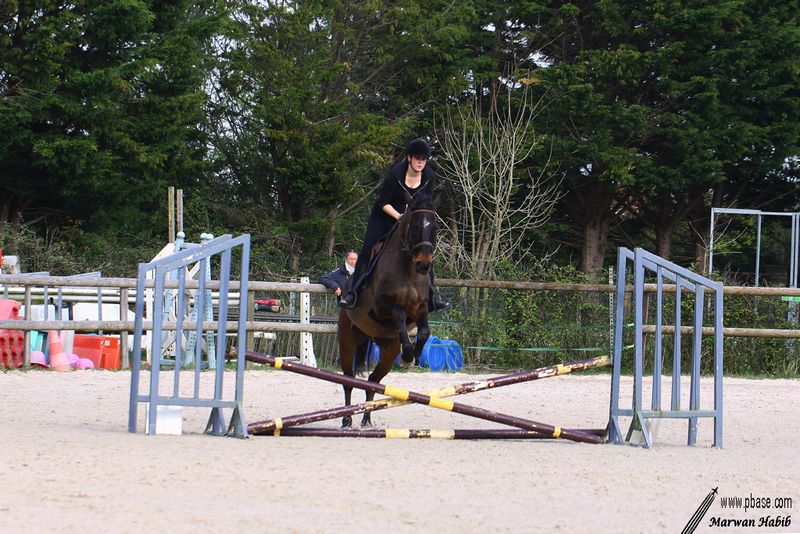 30-03-2025 : Horse competition / Comptition de cheval