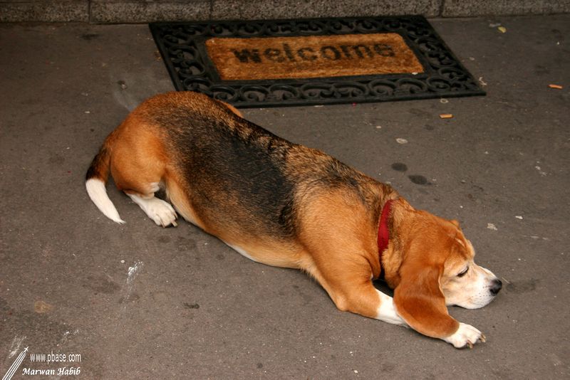 24-04-2007 : Welcome / Bienvenue