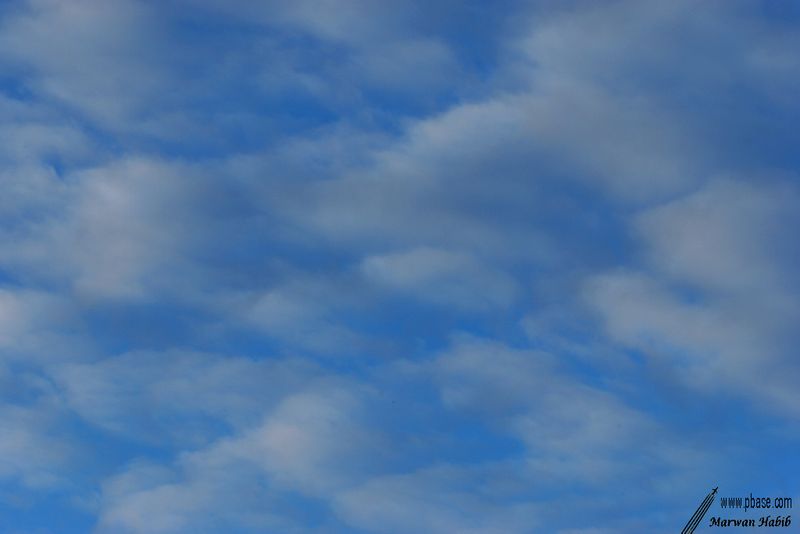 Light clouds / Lgers nuages