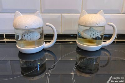 22-01-2023 : Cat & fish for a tea / Chat & poisson pour un th