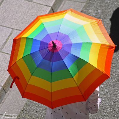 Rainbow Umbrella / Parapluie Arc-en-ciel