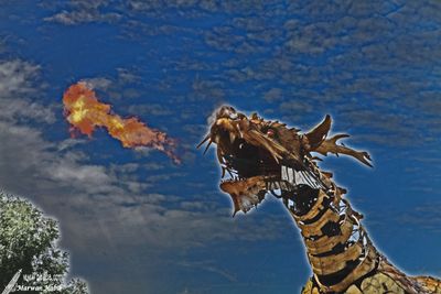 Long Ma - The Horse Dragon / Le Cheval Dragon