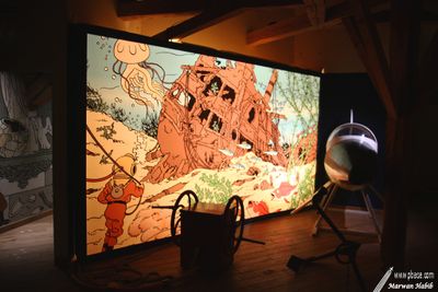 Cheverny - Tintin's Museum / Muse Tintin