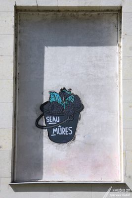 Treasures Box / Boîte à Trésors