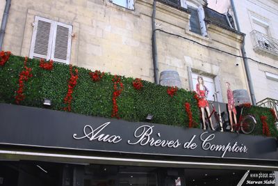 Shops' signs / Enseignes de magasins