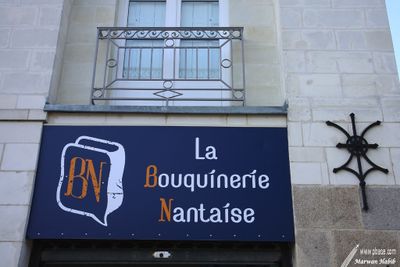 Shops' signs / Enseignes de magasins