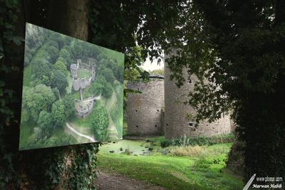 Pays de la Loire