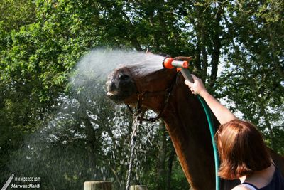 Espoir - ...and not in my nose! / ...et pas dans mon nez!