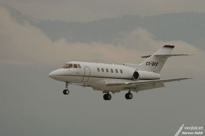 Raython Hawker 800