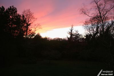At dusk / Au crpuscule