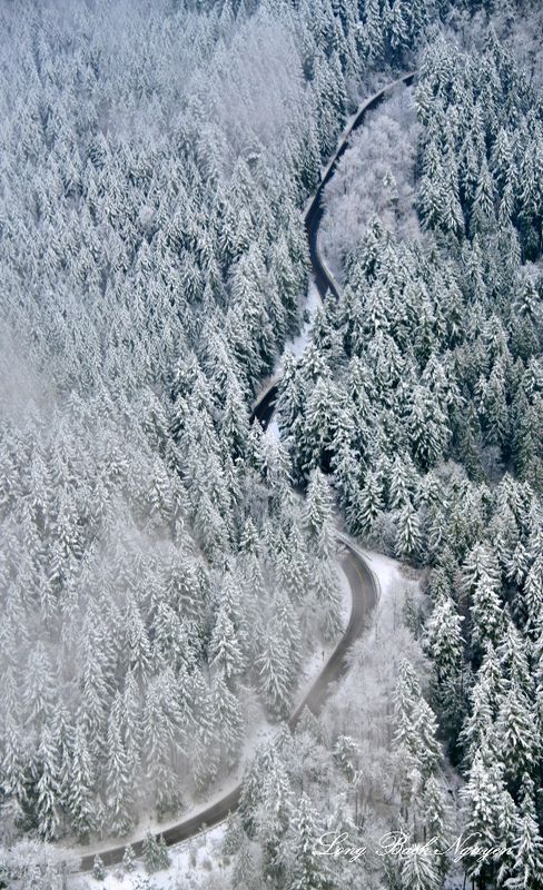 SE Fall City Snoqualmie Road, Fall City, Washington 031  