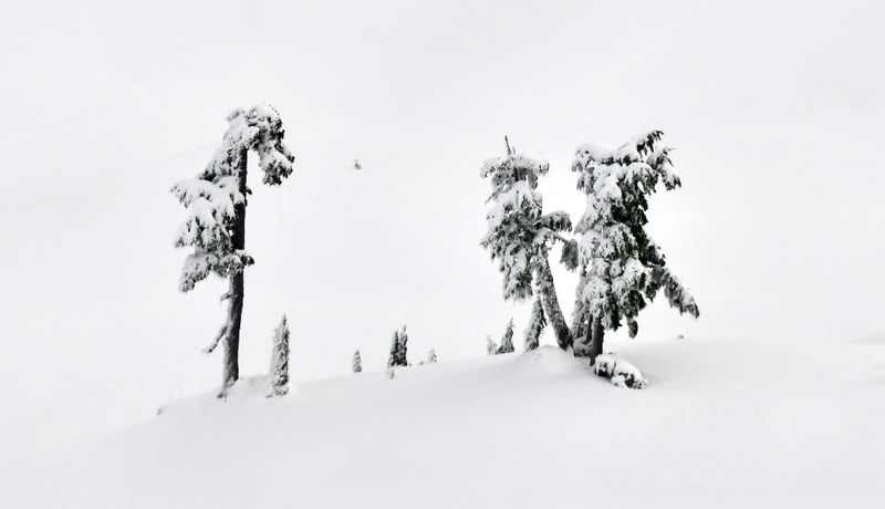 Will You Marry Me, Mt Glady, Olympic Mountains, Washington 