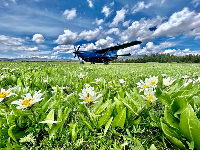 Daher Kodiak 100 at Bruce Meadows airstrip Idaho 