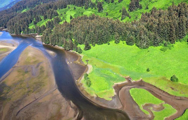Looking for Bears on Kodiak Island from Kodiak 100 airplane, Alaska 1887  