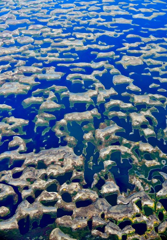 Potholes Reservoir, The Potholes, South Columbia Basin State Wildlife Recreation Area, Moses Lake, Washington 1065