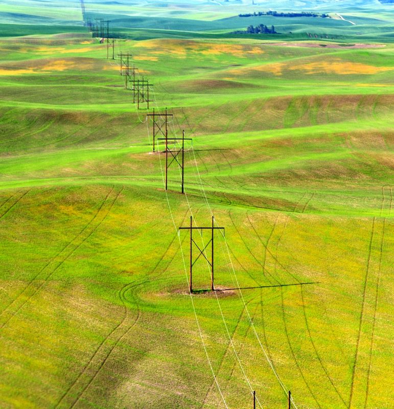 Powerline across Palouse Hills, Tekoa, Washington 106  