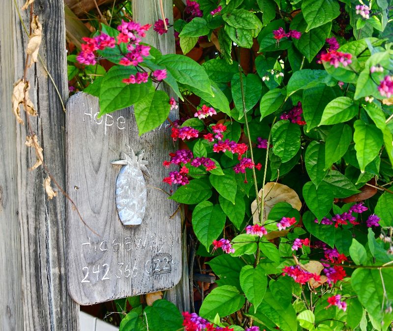 Hope Town Hideaways, Elbow Cay, Bahamas 857 