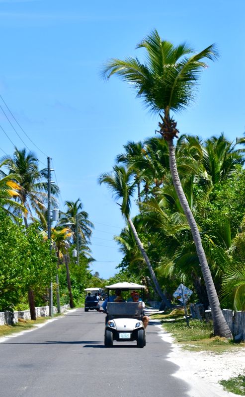 Island Life on Elbow Cay, Bahamas 1026 