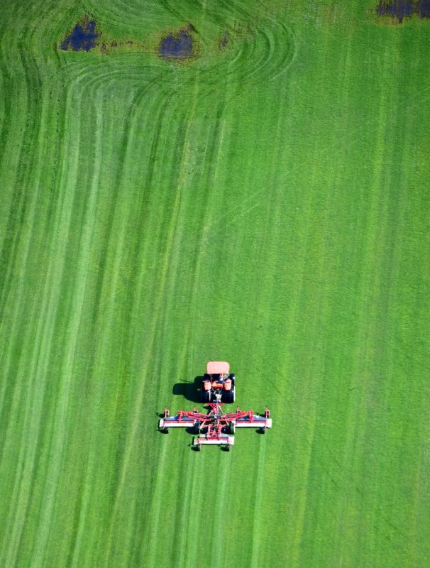 Red Tractor on farm near Snohomish Airport, Washington 077 