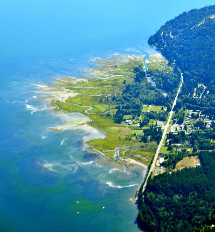 Dosewalips River Delta, Sylopash Point, Brinnon, Washington 161  