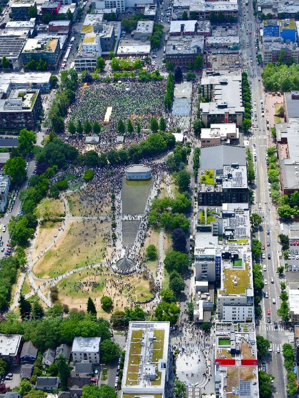 Cal Anderson Park NO KING March, Seattle, Washington 059 
