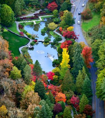 Seattle Japanese Garden, Washington Park Arboretum, Seattle, Washington 520 