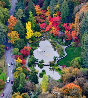 Seattle Japanese Garden, Washington Park Arboretum, Seattle, Washington 538  